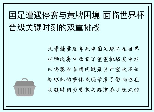国足遭遇停赛与黄牌困境 面临世界杯晋级关键时刻的双重挑战
