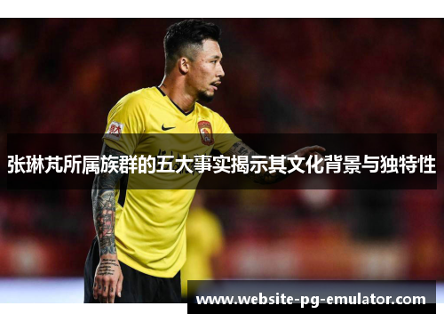 张琳芃所属族群的五大事实揭示其文化背景与独特性