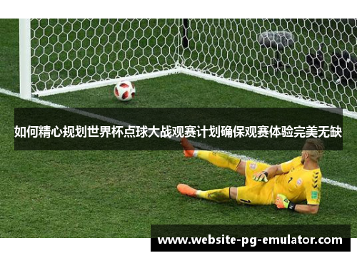 如何精心规划世界杯点球大战观赛计划确保观赛体验完美无缺