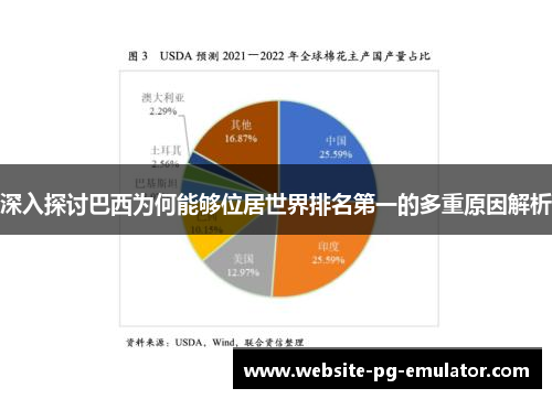 深入探讨巴西为何能够位居世界排名第一的多重原因解析