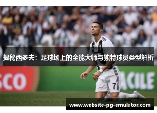揭秘西多夫：足球场上的全能大师与独特球员类型解析