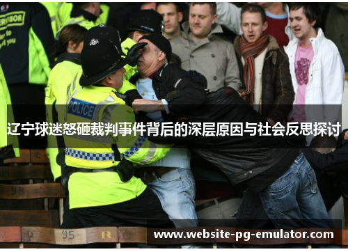 辽宁球迷怒砸裁判事件背后的深层原因与社会反思探讨
