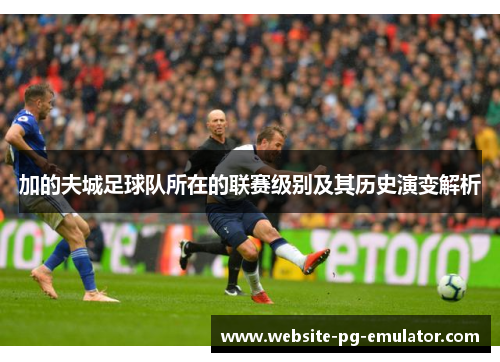 加的夫城足球队所在的联赛级别及其历史演变解析