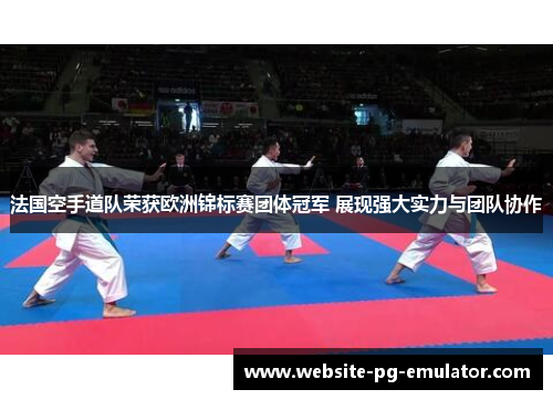 法国空手道队荣获欧洲锦标赛团体冠军 展现强大实力与团队协作