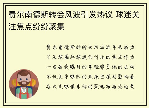 费尔南德斯转会风波引发热议 球迷关注焦点纷纷聚集
