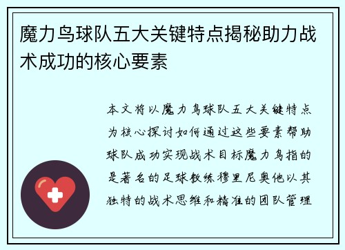 魔力鸟球队五大关键特点揭秘助力战术成功的核心要素