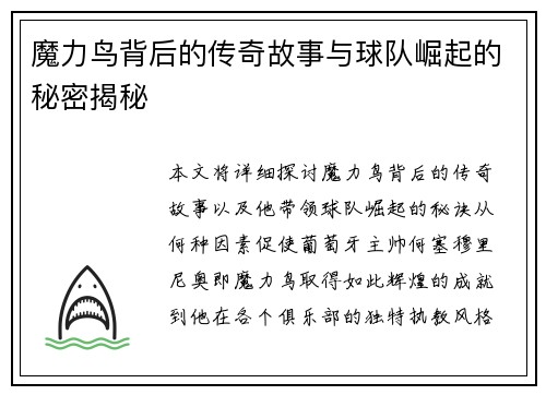 魔力鸟背后的传奇故事与球队崛起的秘密揭秘